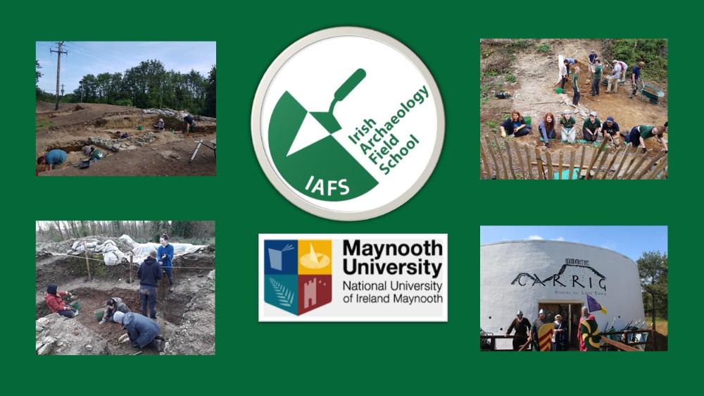 Maynooth Irish Arch Field Scho Maynooth Irish Arch Field Scho